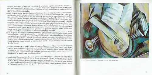 Miroslav Lamač: Georges Braque. 