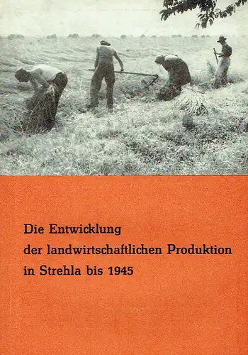 Lothar Schlegel: Die Entwicklung der landwirtschaftlichen Produktion in Strehla bis 1945. 