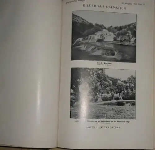 Blätter für den geographischen Unterricht, Zeitschrift des Verbandes deutscher Schulgeographen
 Geographischer Anzeiger. 