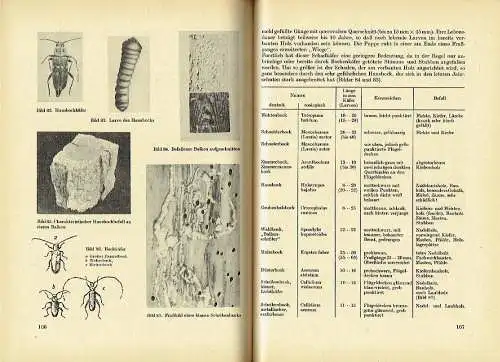 Helmut F. W. Schmidt
 Lothar Sczepan
 Heinz Nötzold: Lehrbuch für den Tischler
 Berufskunde, Werkstoffkunde und Technologie der Holzbearbeitung. 