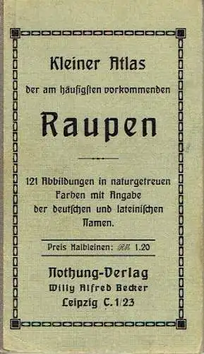 121 Abbildungen in naturgetreuen Farben mit Angabe der deutschen und lateinischen Namen
 Kleiner Atlas der häufigsten Raupen. 