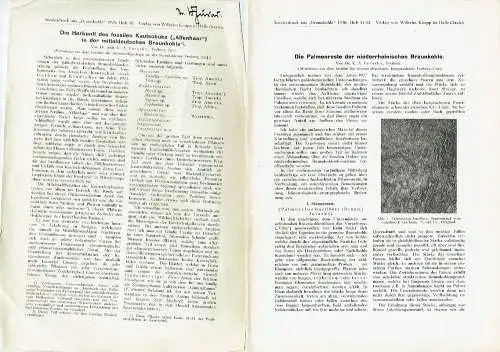 Karl Alfons Jurasky: 5 Zeitungsartikel zum Thema Braunkohle von K. A. Jurasky aus Freiberg
 in Braunkohle Zeitschrift 1930 Heft 21 + 4 einzelne Artikel aus der Zeitschrift. 