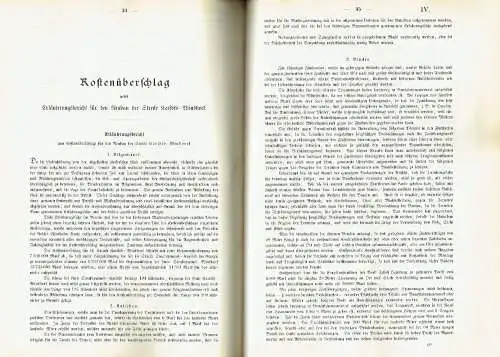 Haushalts-Etat für die Schutzgebiete auf das Rechnungsjahr 1901 nebst Anlagen. 