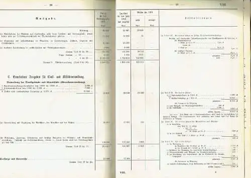 Haushalts-Etat für die Schutzgebiete auf das Rechnungsjahr 1901 nebst Anlagen. 