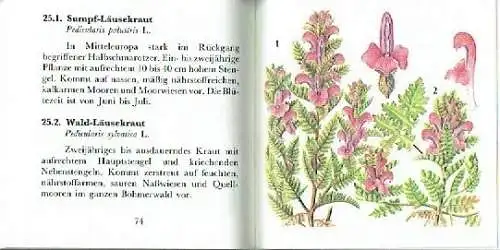 František Procházka: Böhmerwald-Herbar. 