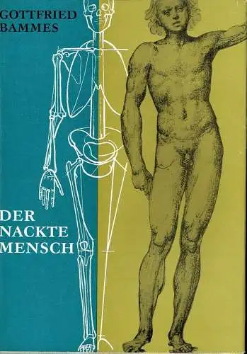 Gottfried Bammes: Der nackte Mensch
 Hand- und Lehrbuch der Anatomie für Künstler, dargestellt unter besonderer Berücksichtigung der ihr eigenen Aufgaben, Ziele und methodischen Probleme. 