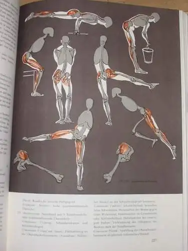 Gottfried Bammes: Der nackte Mensch
 Hand- und Lehrbuch der Anatomie für Künstler, dargestellt unter besonderer Berücksichtigung der ihr eigenen Aufgaben, Ziele und methodischen Probleme. 