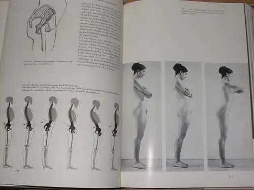 Gottfried Bammes: Der nackte Mensch
 Hand- und Lehrbuch der Anatomie für Künstler, dargestellt unter besonderer Berücksichtigung der ihr eigenen Aufgaben, Ziele und methodischen Probleme. 