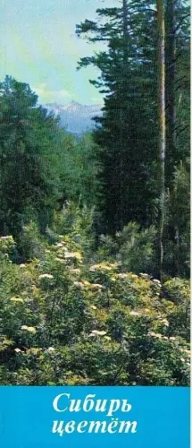 ?????? ????ë? (Sibirien blüht)
 Weitere sehr gute Bücher und Ansichtskarten zum Sofortkauf finden Sie hier: Shop Angebote:      Nach dem KaufKaufabwicklungNach.. 