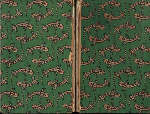 Margarete Bruns: Die Märchen der Salamanderhöhle. 