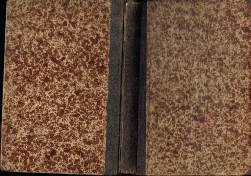 Adam Smith der Jüngere: Adam Smith's des jüngeren Prüfung der heutigen volkswirtschaftlichen Systeme. 