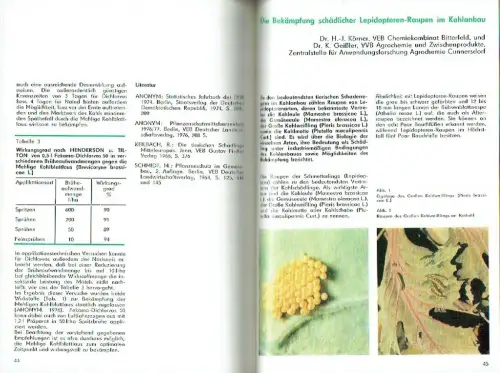 Feldgemüseproduktion. 