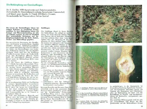 Feldgemüseproduktion. 