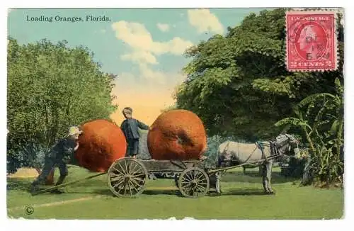 [Ansichtskarte] Loading Oranges, Florida. 