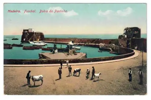 [Ansichtskarte] Madeira. Funchal. Bahia da Pontinha. 