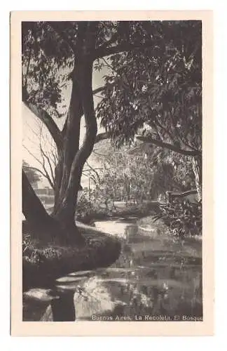 ARGENTINA. Buenos Aires. La Recoleta. El Bosque.