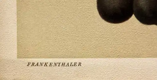 Rebsorte Frankenthaler, Lithographie aus J. Müller "Deutschlands Obstsorten"