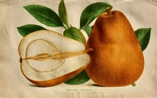 Pieter J. de Pannemaeker, Chromolithographie, Birne Grand Soleil, um 1875