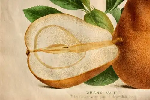 Pieter J. de Pannemaeker, Chromolithographie, Birne Grand Soleil, um 1875