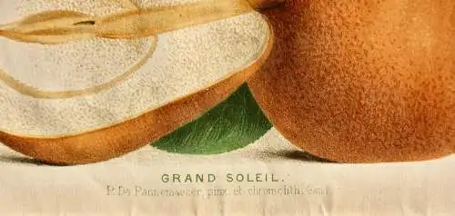 Pieter J. de Pannemaeker, Chromolithographie, Birne Grand Soleil, um 1875