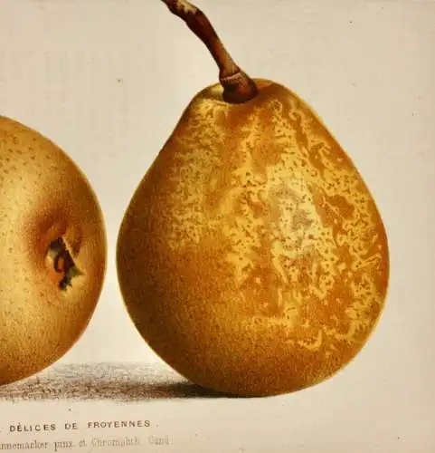 Pieter J. de Pannemaeker, Chromolithographie, Birne Poire Délices de Froyennes