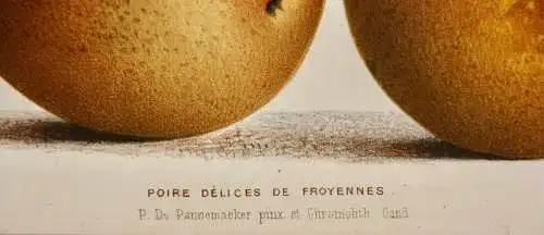 Pieter J. de Pannemaeker, Chromolithographie, Birne Poire Délices de Froyennes