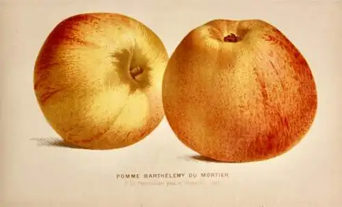 Pieter J. de Pannemaeker, Chromolithographie, Apfel Pomme Barthélemy du Mortier