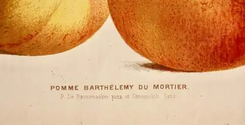 Pieter J. de Pannemaeker, Chromolithographie, Apfel Pomme Barthélemy du Mortier