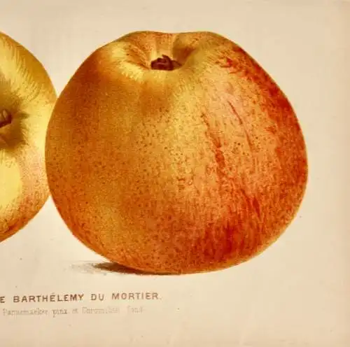 Pieter J. de Pannemaeker, Chromolithographie, Apfel Pomme Barthélemy du Mortier