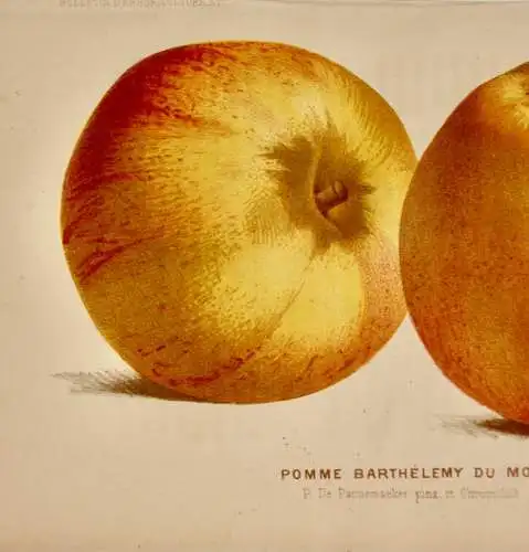 Pieter J. de Pannemaeker, Chromolithographie, Apfel Pomme Barthélemy du Mortier