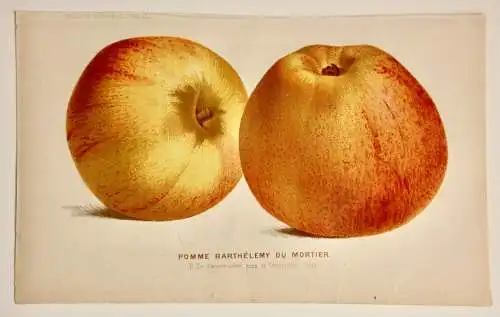 Pieter J. de Pannemaeker, Chromolithographie, Apfel Pomme Barthélemy du Mortier