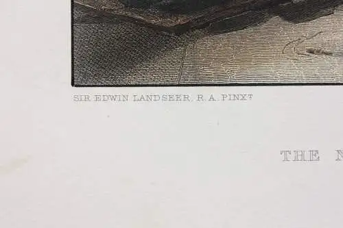 William Finden nach Sir Edwin Landseer, handkol. Stahlstich "The Naughty Boy"