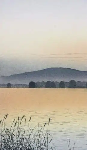 Rudolf Distler (geb. 1946), sign. Farbradierung, Blick über den Chiemsee, 1987