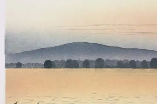 Rudolf Distler (geb. 1946), sign. Farbradierung, Blick über den Chiemsee, 1987