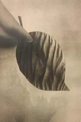 Paul Wunderlich (1927-2010), sign. Farblithographie, weiblicher Akt, 1971
