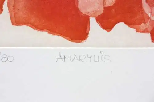 Unbekannter zeitgenössischer Künstler, sign. Aquatinta Farbradierung, "Amarylis"