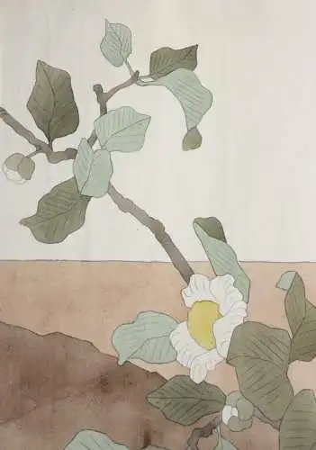 Elstern und Camelienzweig, Aquarell, Japonismus, Kacho-ga, Frankreich, um 1900
