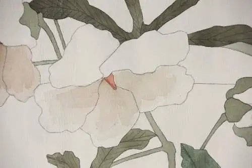 Sittich mit Maniok-Hibiskus, Aquarell, Japonismus, Kacho-ga, Frankreich, um 1900