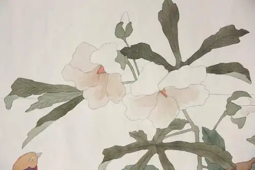 Sittich mit Maniok-Hibiskus, Aquarell, Japonismus, Kacho-ga, Frankreich, um 1900