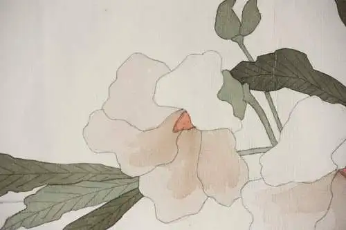 Sittich mit Maniok-Hibiskus, Aquarell, Japonismus, Kacho-ga, Frankreich, um 1900