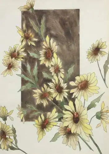 Sonnenblumen (Helianthus grosseratus) über einem braunen Feld, Aquarell, um 1900