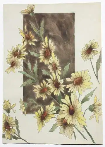 Sonnenblumen (Helianthus grosseratus) über einem braunen Feld, Aquarell, um 1900