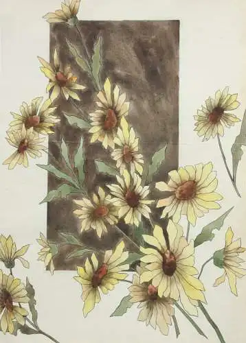 Sonnenblumen (Helianthus grosseratus) über einem braunen Feld, Aquarell, um 1900