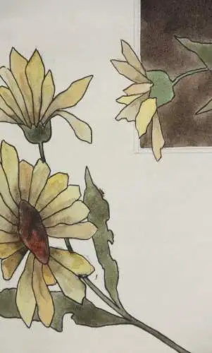 Sonnenblumen (Helianthus grosseratus) über einem braunen Feld, Aquarell, um 1900