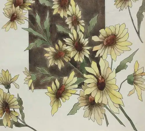 Sonnenblumen (Helianthus grosseratus) über einem braunen Feld, Aquarell, um 1900