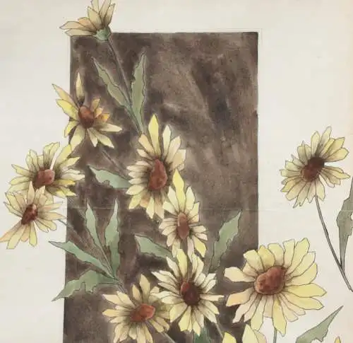 Sonnenblumen (Helianthus grosseratus) über einem braunen Feld, Aquarell, um 1900