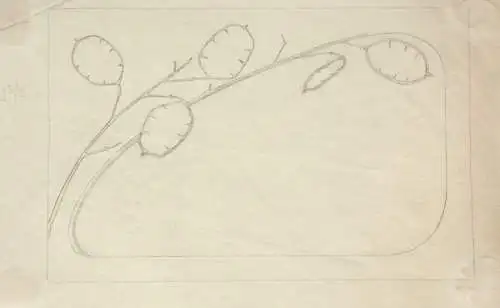 Jugendstil-Ornament, Silberblatt, Lunaria, Entwurf, Bleistiftzeichnung, um 1900