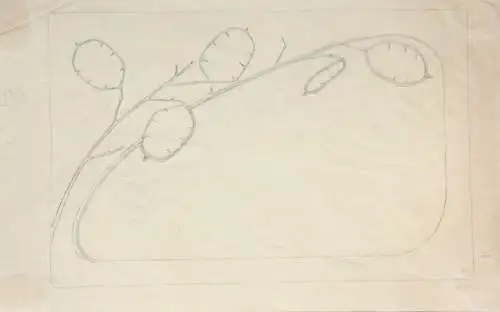 Jugendstil-Ornament, Silberblatt, Lunaria, Entwurf, Bleistiftzeichnung, um 1900