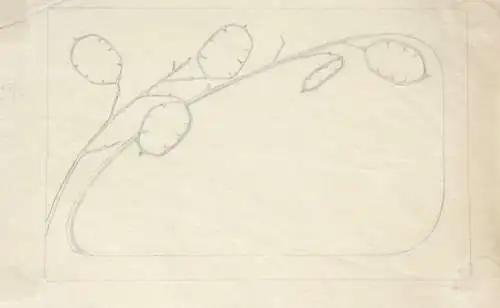 Jugendstil-Ornament, Silberblatt, Lunaria, Entwurf, Bleistiftzeichnung, um 1900