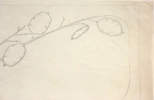 Jugendstil-Ornament, Silberblatt, Lunaria, Entwurf, Bleistiftzeichnung, um 1900